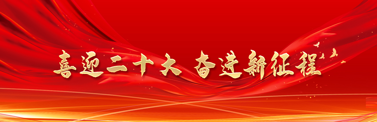 喜迎二十大，奋进新征程