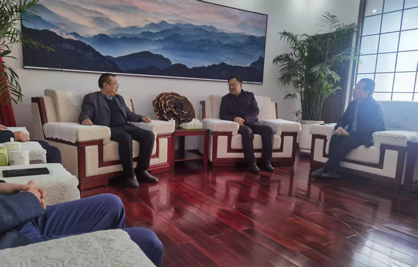 化学所组织材料领域专家到嵩县开展对接交流